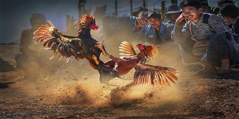 f888 chơi bắn cá đổi thưởng