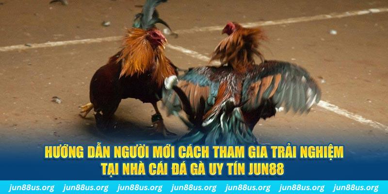 f888 CQ9 Điện Tử