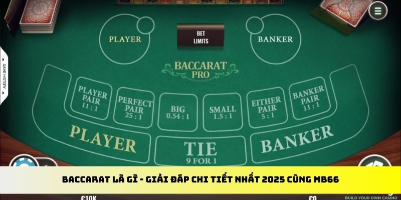 f888 gà chọi cu cần
