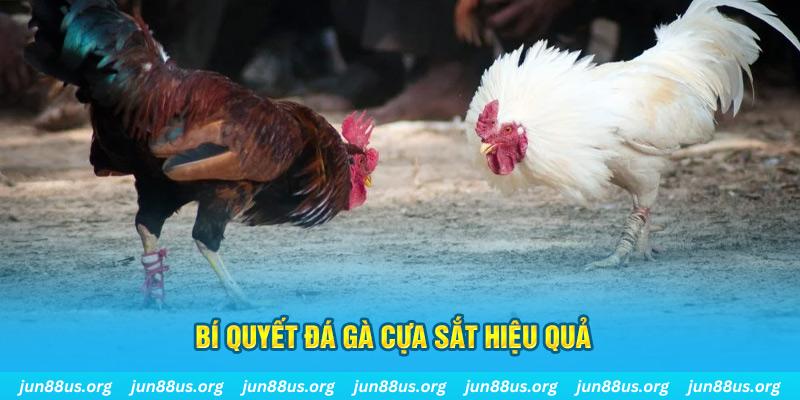 f888 xin 1 slot là gì
