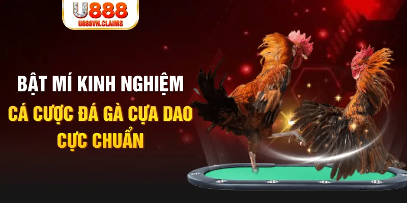 f888 tỷ lệ cá cược châu á là gì