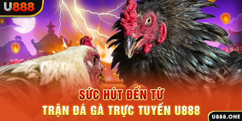 f888 nổ hũ b29 là gì