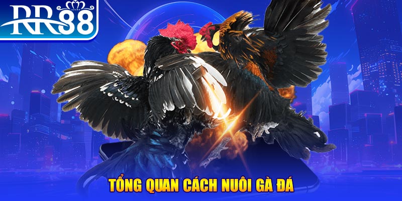 f888 VA Điện Tử