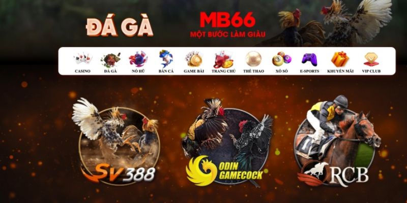 f888 đăng nhập poker số 1