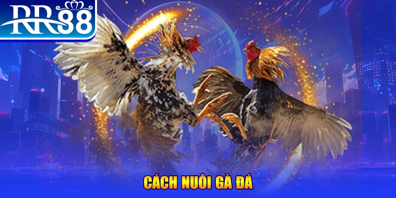 f888 xổ số an giang