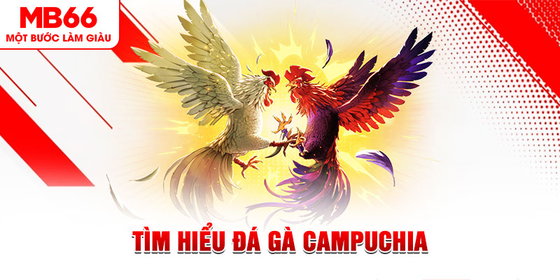f888 đá gà trực tiếp
