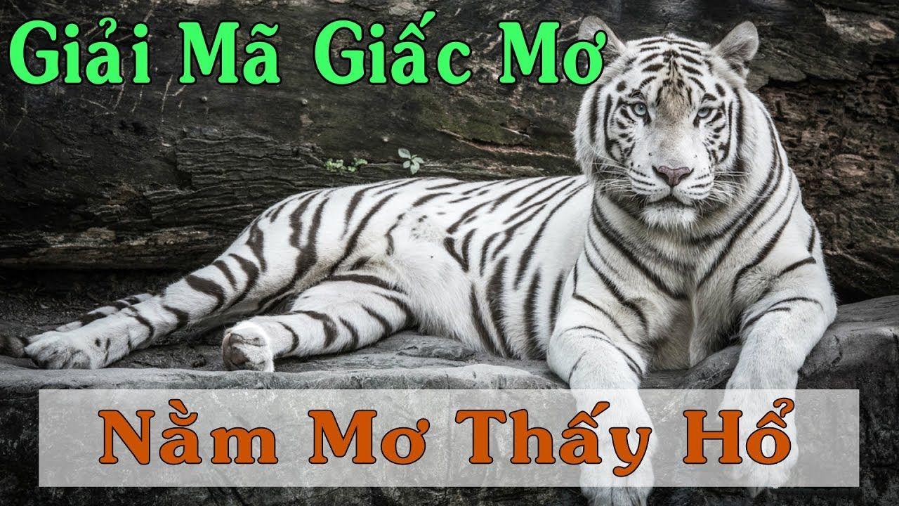 f888 WM Trực Tuyến