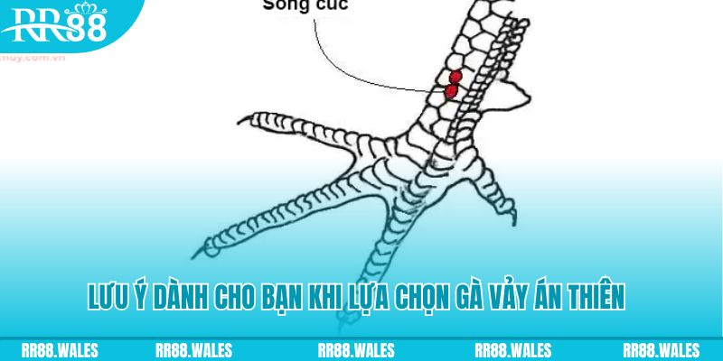 f888 xổ số đồng nai