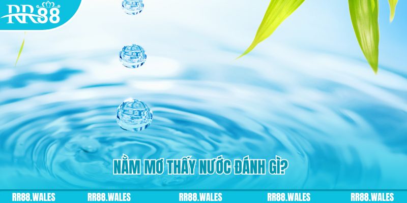 f888 TP Bắn cá