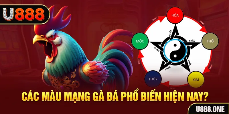 f888 trực tiếp đá gà 88