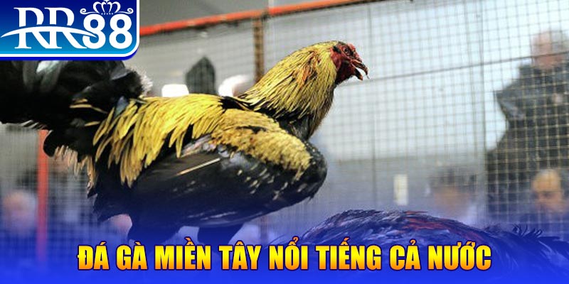 f888 JILI Game Bài 3d