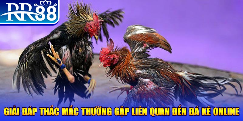 f888 xổ số đà lạt