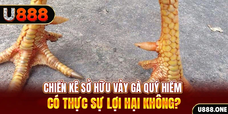 f888 nohu .mx nổ hủ là gì