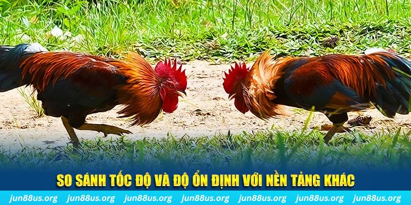 f888 đá gà hôm nay