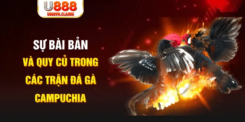 f888 YGR Điện Tử