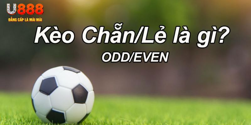 f888 đăng nhập poker hôm nay