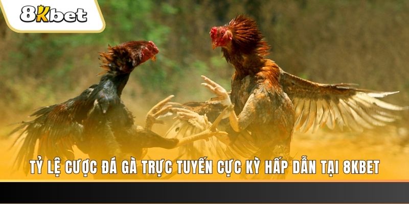 f888 xổ số trực tiếp miền bắc