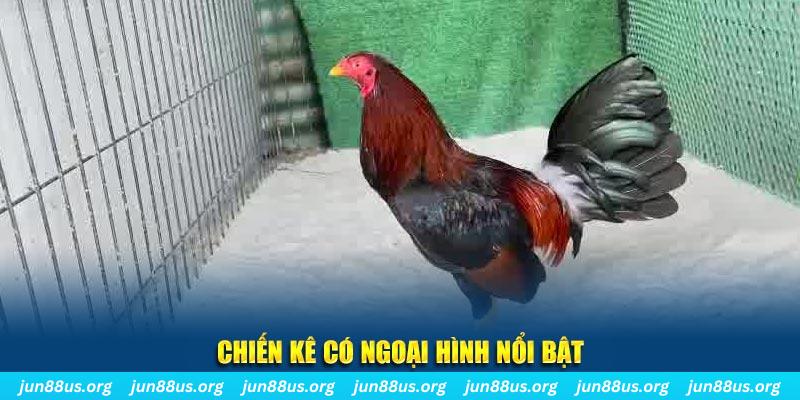 f888 chạy quảng cáo cho game bài bị phạt như thế nào