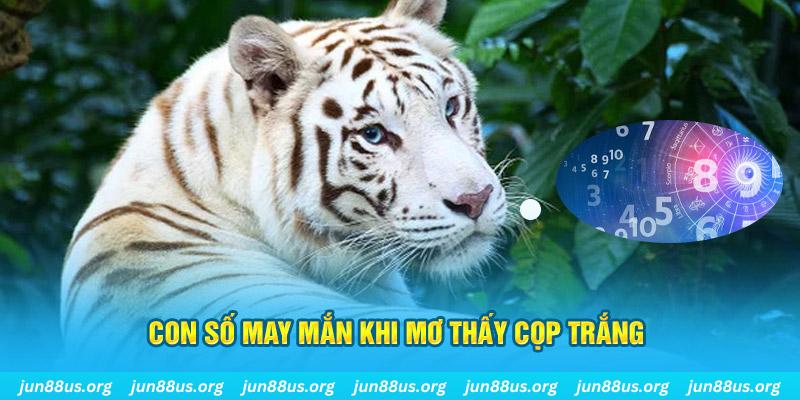 f888 đá gà trực tiếp 88